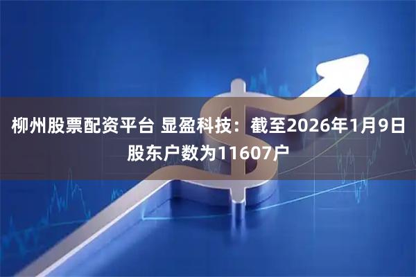 柳州股票配资平台 显盈科技：截至2026年1月9日股东户数为11607户