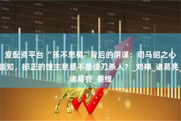爱配资平台 “乐不思蜀”背后的阴谋：司马昭之心路人皆知，郤正的馊主意是不是借刀杀人？_刘禅_诸葛亮_姜维