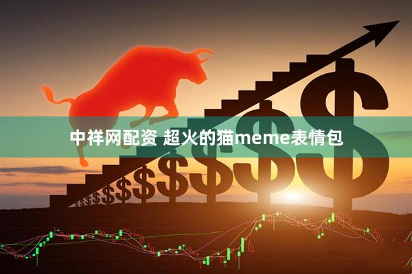 中祥网配资 超火的猫meme表情包